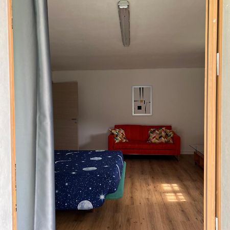 Homely Albino エクステリア 写真